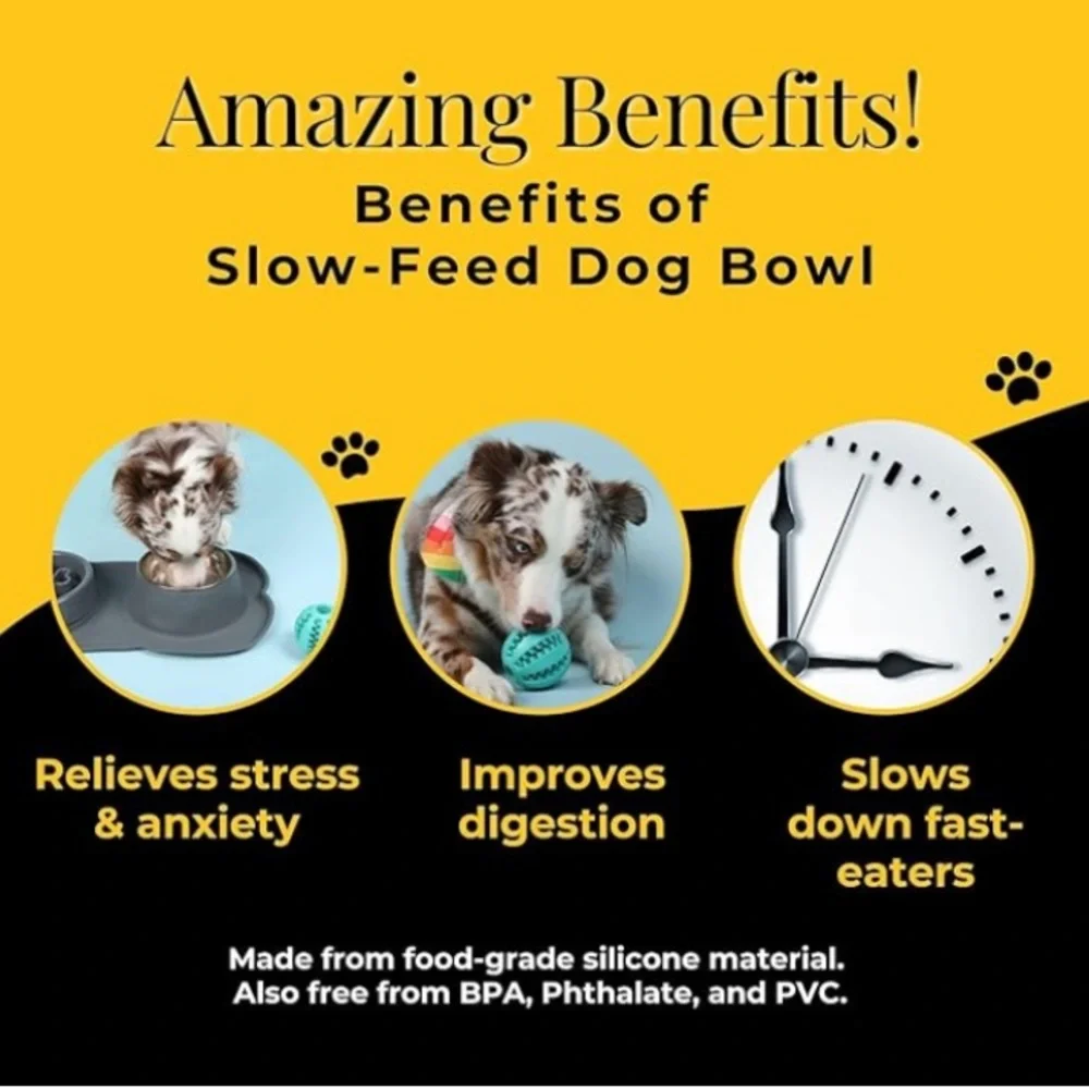 Canine Karma Pet Goodness Slow Feeder Dog Bowl Set